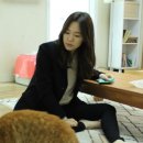 상상고양이 이미지