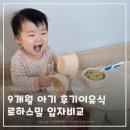 스마트중기 - 1102 | 9개월 아기 후기이유식 추천 로하스밀 시판 이유식 중기 후기 입자비교