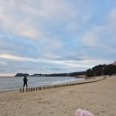 새전주횟집 | 부안여행 1탄(곰돌이 김밥,변산소노벨,채석강수산시장,격포 해수욕장, 새전주횟집)