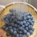 대부분 몰랐습니다 “블루베리” 올바른 세척 방법은 이겁니다 이미지