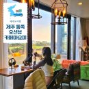 카페마요피 | 제주 동쪽 오션뷰카페 혼자면 더 좋은 구좌 카페마요피