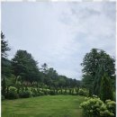 설악공인중개사사무소 이미지