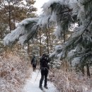 고인돌탐방길 이미지