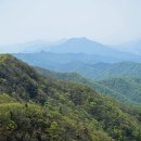 올봄에도 국망봉에 백작약은 피었고 - 국망봉,견치봉,민둥산 이미지