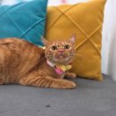 지개동산 이미지