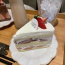 슬로우터틀 이미지