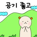 닥터크린 이미지