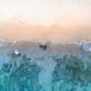 하나의선택 이미지