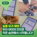 아동 관련 사고를 예방할 수 있는 아동 안전 교육 | 유괴·실종예방안전교육, 우리 아이의 안전은 작은 습관에서 시작됩니다!