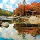 월성농장 이미지