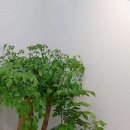 구월의치과의원 이미지