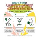 봄애그린한의원 이미지