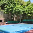 교동 테니스장 이미지