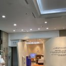 세솔약국 | [홍천 소노벨 비발디파크]오크동(B동) 후기, 스키장 상황 리뷰