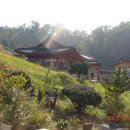 충신 유해 정려 이미지