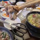 둔기목장 | 내돈내산 파주 골프채갈비탕 야들하고 양많고! 전국목장연합