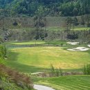 메이져골프클럽 이미지