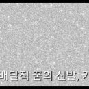마사이워킹센타엠베테이수점