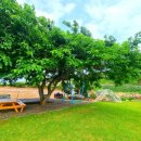 여수 가족한옥 펜션 이미지