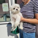 쫑랑쫑랑 이미지