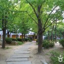 경성대학교박물관 Daum카페