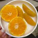 롤링핀(수성못점) | 수성못 맛집 진사천훠궈 평일 우삽겹 세트 후기