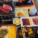 [공지] 야쿠시마 조몬스기 &amp; 규슈 올레 9박 10일, 에필로그