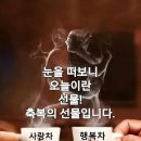 좋은사람 이미지