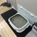 댕댕이냥 이미지