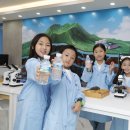 제주처럼 이미지