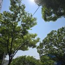 헤어브리즈 망포 수원망포역미용실 영통미용실 수원미용실 망포역 5번출구 도보 1분