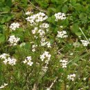 논두렁밭두렁 이미지