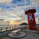 백동무궁화동산 이미지