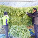 오산농원영농조합법인 이미지