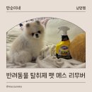 반려동물 탈취제 찌든 오줌 자국 제거 유한락스 펫 메스 리무버