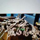 헤어살롱로라 네이버블로그