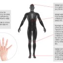 신기한 손 테라피