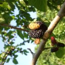 준영이네농장 이미지