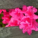 분토골어린이공원 이미지