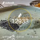 숭림산태봉골 이미지