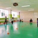 경희대 대성 태권도장 이미지