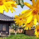 함평 이재혁가옥 이미지