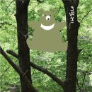 인스브레인 이미지