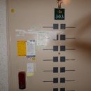 신세대지큐빌아파트 이미지