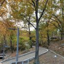 다인야영장 이미지