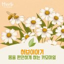 허브이야기 이미지