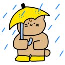 으뜸독일보청기 화명본점 이미지