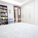 프리마 베라 이미지