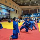 철원유도관 이미지