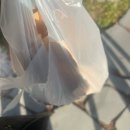 후니네작은카페 | 2023, 11월 #3